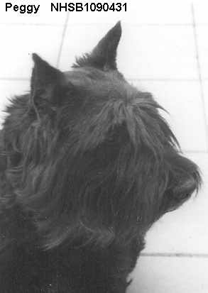 Bouvier PEGGY  