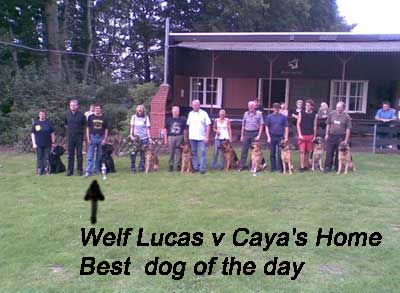 Bouvier WELF LUKAS JEZEBELL v CAYA'S HOME